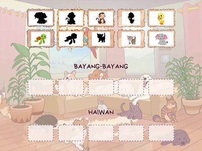 TEKA BAYANG-BAYANG HAIWAN