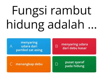 Quiz Organ, Mekanisme dan Frekuensi Pernapasan 