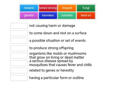 Unit 7 English Definitions