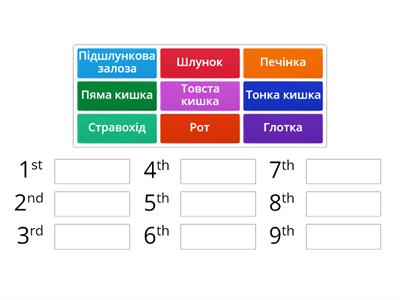 Травна система