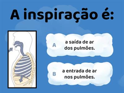 SISTEMA RESPIRATÓRIO