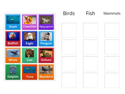 Birds vs Fish vs Mammals