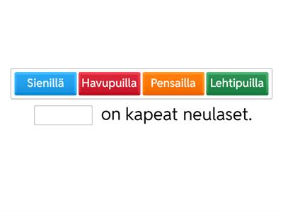 Kätkö 4, jakso 1: kertaus