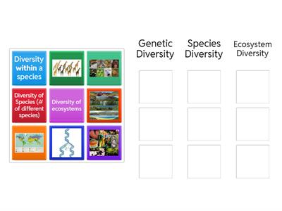 Biodiversity Types Sorting