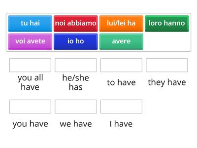 Italian Beginners & Avere Conjugations