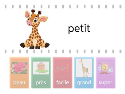 Adjectifs - contraires