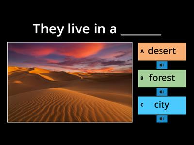 6A English File Elementary page 46-47 Vocabulary Reading Glass Bottle Vocabulary