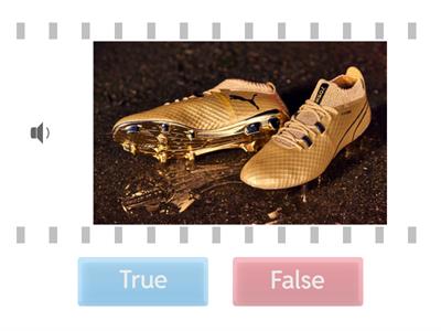 ESL L1 / A1 : Clothes and Clothing Vocabulary ; True or False