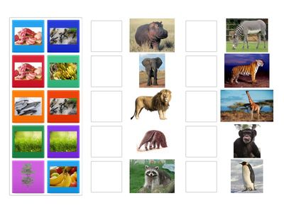 Херсон ЗДО №22 Галина Лебедєва Чим харчуються екзотичні тварини?