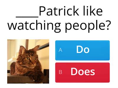 Do-does in questions