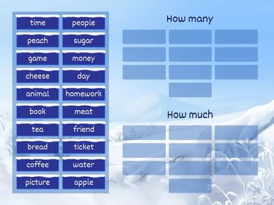 How many and How much 