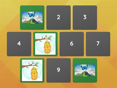 IL BRUCO E LA FARFALLA