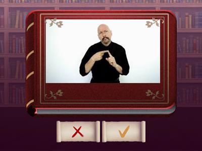 ASL WH Questions Flashcards