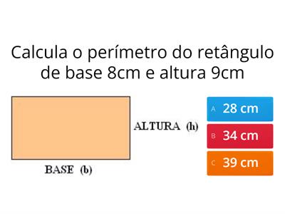  Perímetro e Área - Revisões