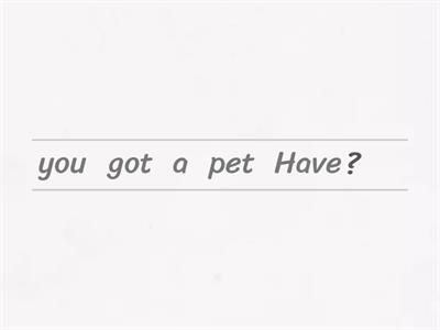 Have got, has got - questions