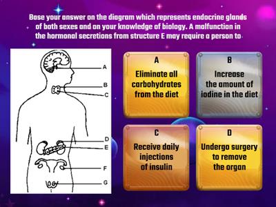 ENDOCRINE SYSTEM