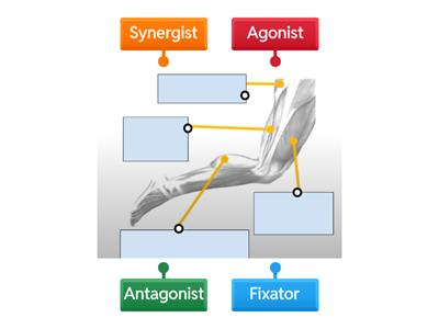 0.17 Pulling leg backwards