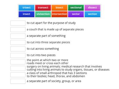 vocabulary list 7- sect