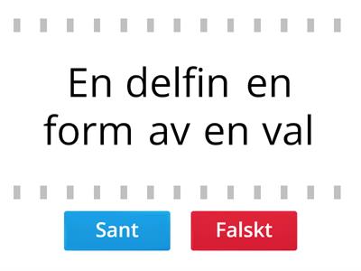 sant eller falskt NO