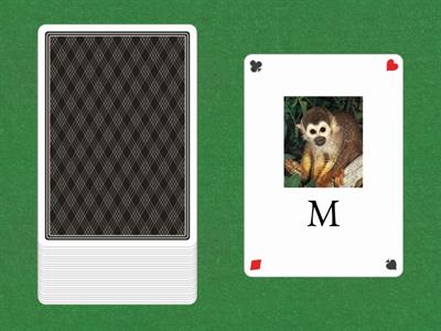 Uppercase Letter Cards