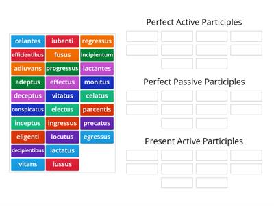 CLC Stage 22 Participle Sort