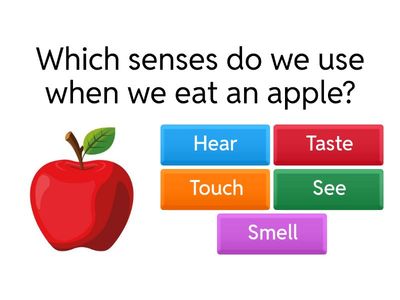 Which Sense Do We Use?
