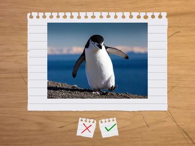 3rd Grade Winter Vocab