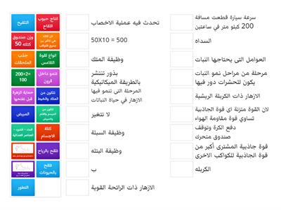 اسنافية العلوم الصف السادس