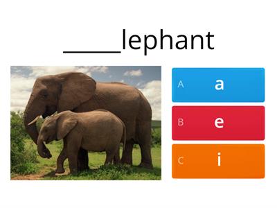 Grade 2 - Letter Revision - Orientation 1