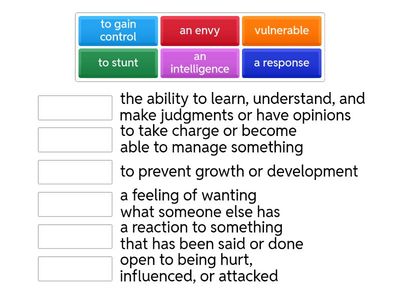 Vocabulary Matching: Emotions and Feelings