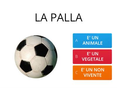 ANIMALI, VEGETALI o NON VIVENTI ?