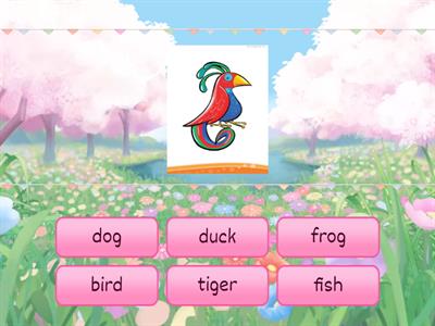 KB Starter. Unit 7. My animals.