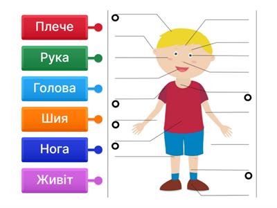 Частини тіла