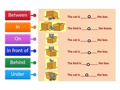 Preposition