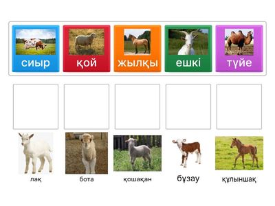 ТӨРТ ТҮЛІК МАЛ