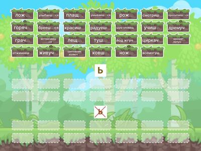 Ь после шипящих в разных частях речи