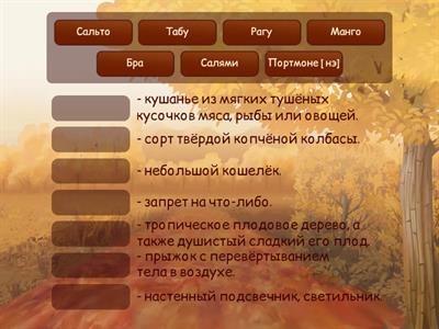 Несклоняемые имена существительные. Группа 3