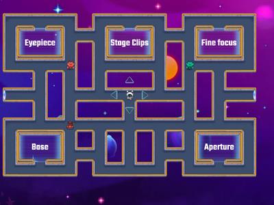 Ms. Hans's Microscope Pac-Man Maze 