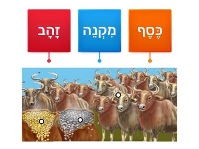 לך לך  יג:ב