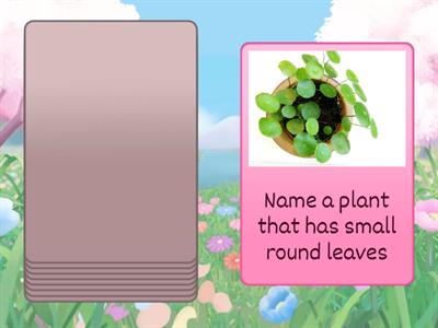 Test your partner: The Natural World