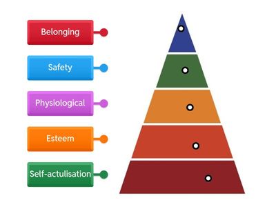 Maslow's Needs 