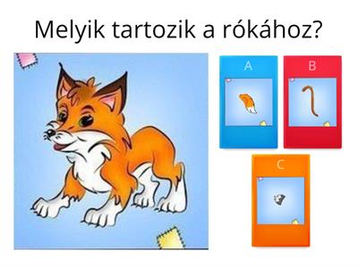 Melyik állathoz melyik farkinca tartozik? 