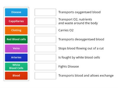 Match-Up Blood MBA