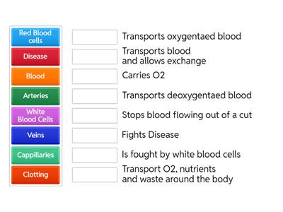 Match-Up Blood MBA