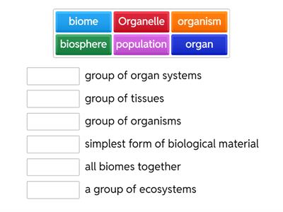 ecology classification sort