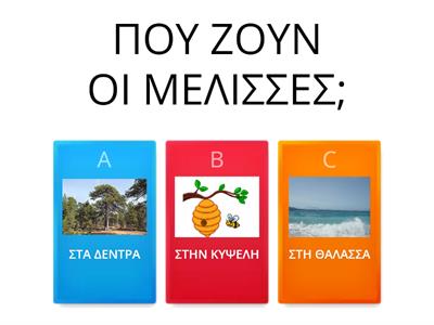 ΕΡΩΤΗΣΕΙΣ ΓΙΑ ΤΗΝ ΜΕΛΙΣΣΑ