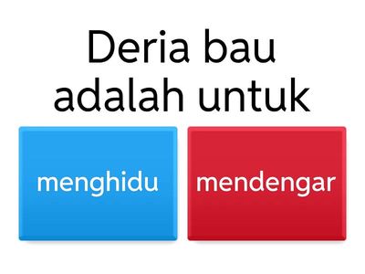 KEMAHIRAN PROSES SAINS