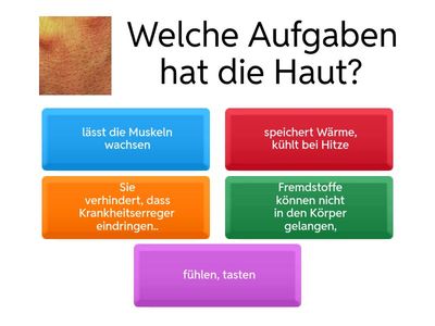 Haut-Quiz