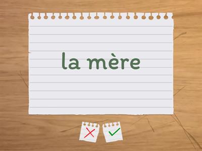 La famille (flashcards) 