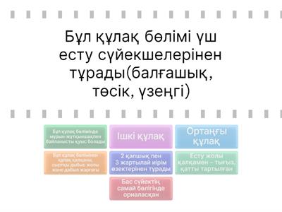 Куннилингус порно сиезбен және бет ситингпен